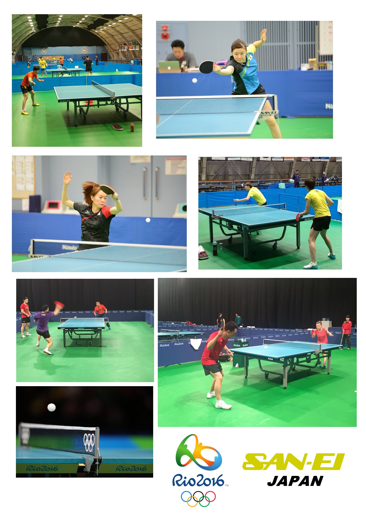 San-Ei Absolute W ITTF